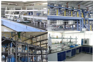 高效管理，助力成长——欢迎探索企业管理咨询的专业价值